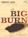 Cover image for The Big Burn